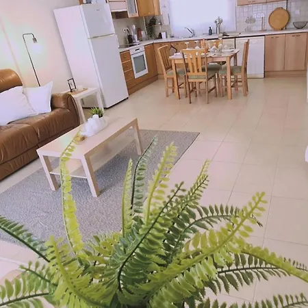 Sunny Palms Apt