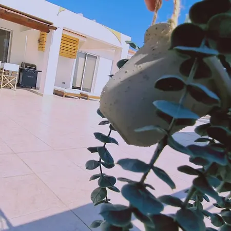 Sunny Palms Apt Διαμέρισμα